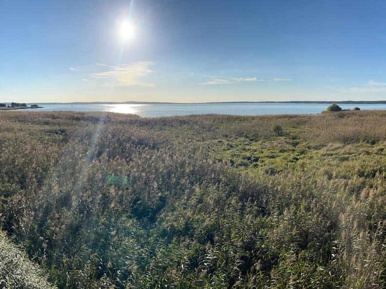 23-09-24 17-30-47 7411